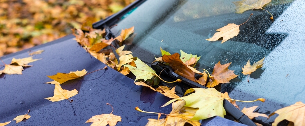 Fall Vehicle Maintenance, Oil change, air filters, heater, wipers